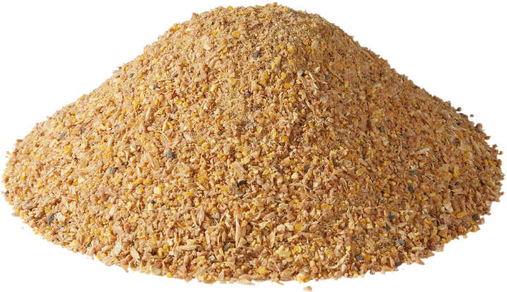 Golddott Eier Vollkorn Pur